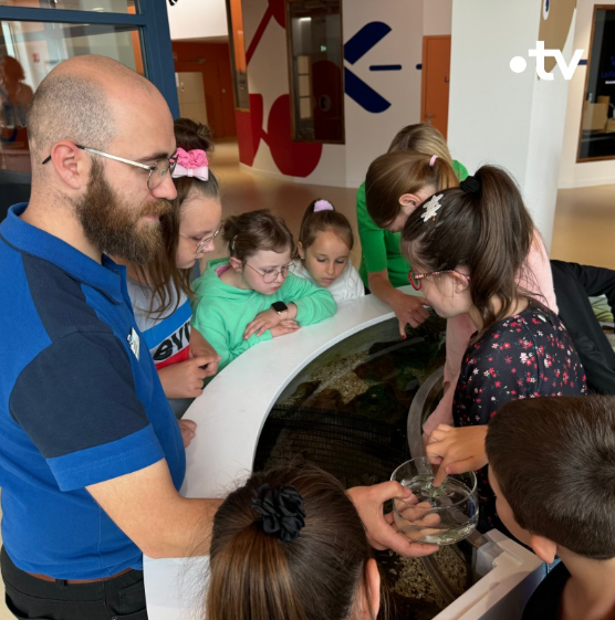 Lumni sensibilise les enfants à la protection des océans